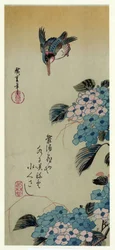 Ajisai ni Kawasemi (Hydrangea and Kingfisher)